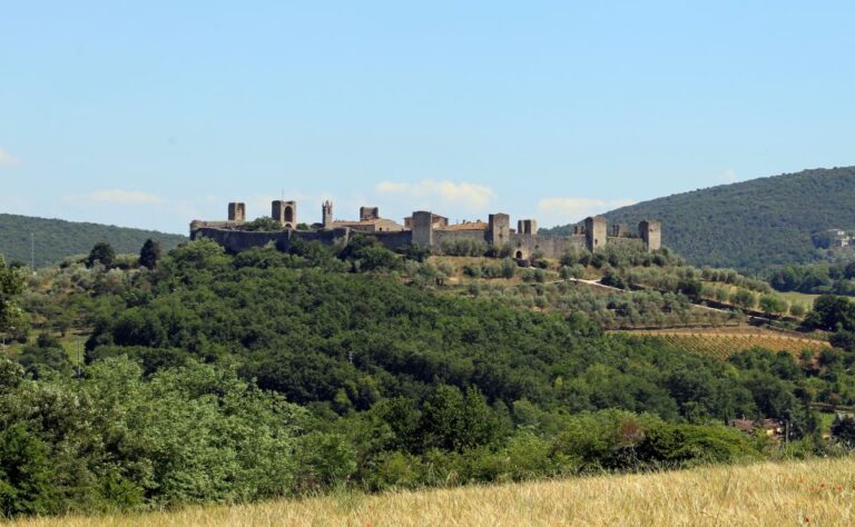 From Florence: Private Siena, San Gimignano + Wine Tasting