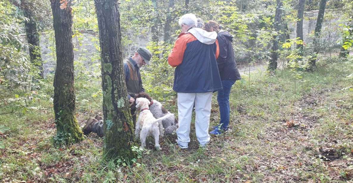 From Florence: Truffle Hunt and Lunch in the Countryside - Activity Details