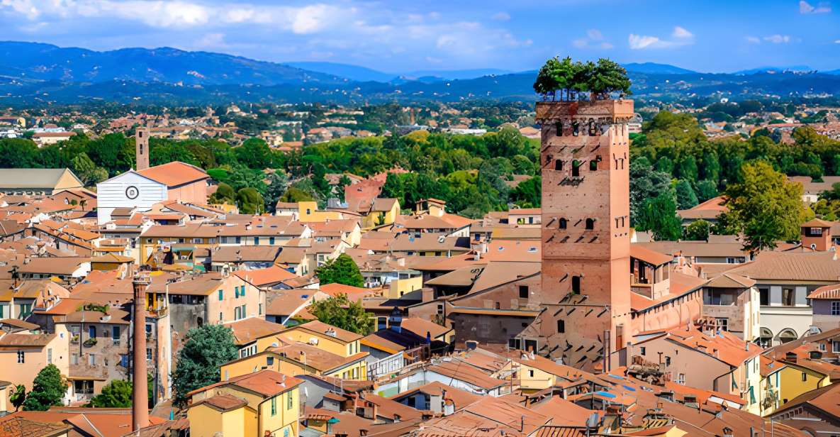 Half-Day Tour to Lucca From Florence - Tour Highlights