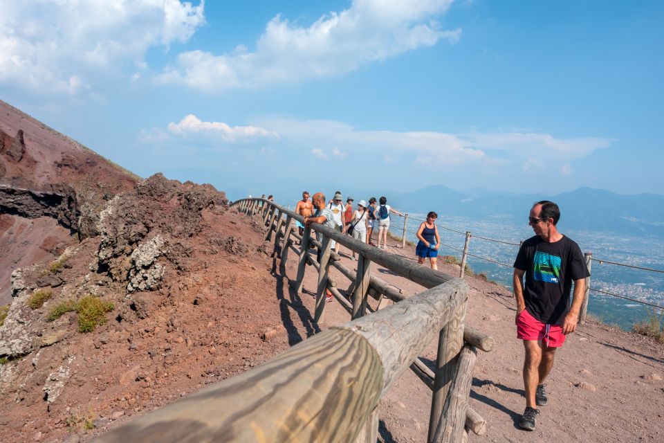 Herculaneum and Mount Vesuvius Private Tour - Tour Pricing and Inclusions