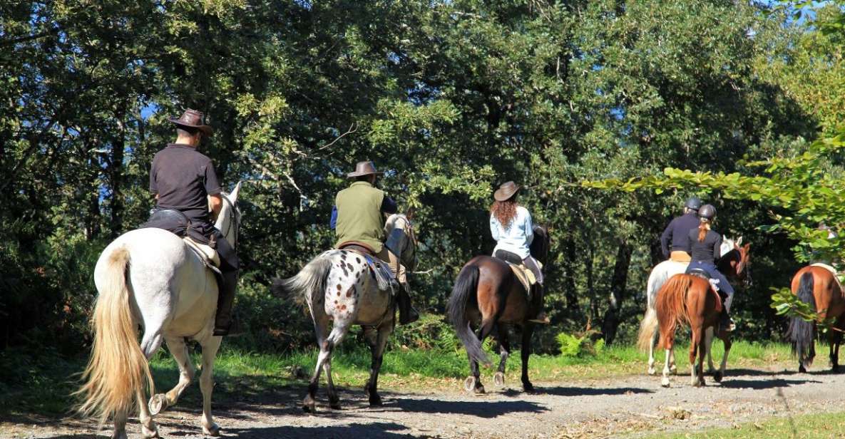 Horse Riding Through the Valleys + Food Tasting - Activity Details