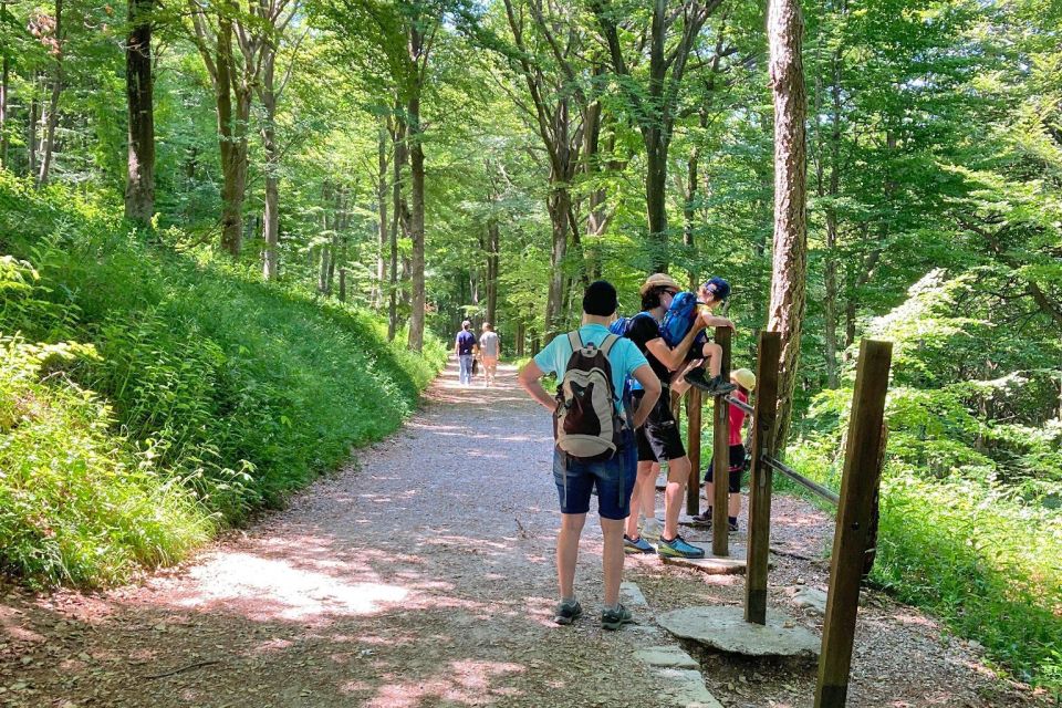 Lake Como: Half-Day Hike in Dolomitic Mountains Over Lecco - Activity Details