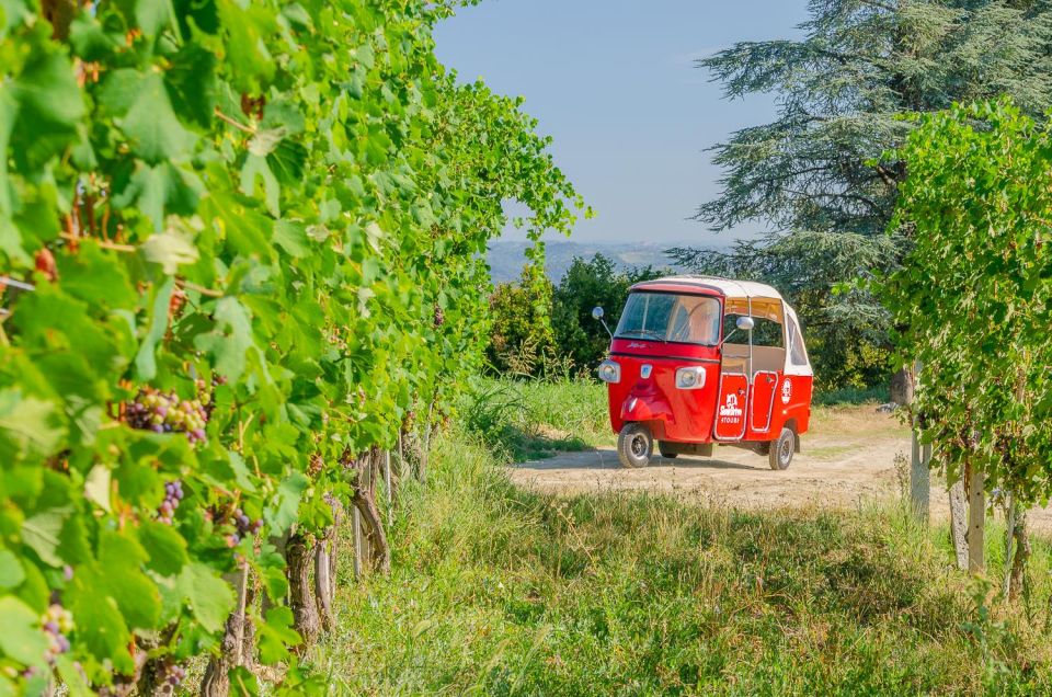 Langhe Tour by Ape With a Delicious Barolo Wine Tasting - Tour Highlights