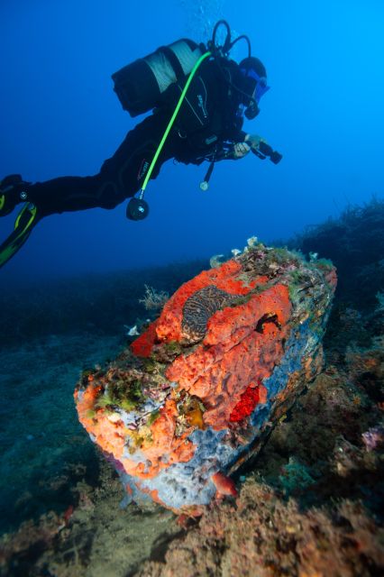 MARINA DI CAMPO: DIVING ON THE ISLAND OF ELBA AND PIANOSA