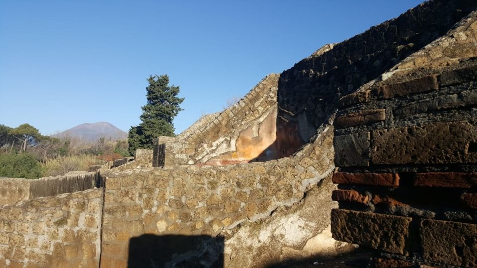 Mt. Vesuvius , Pompeii , Cantina Del Vesuvio Winery - Tour Details