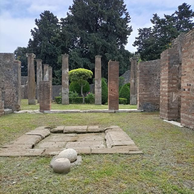 Pompeii Herculaneum and Oplontis With the Guide From Naples