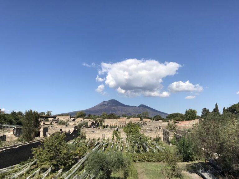 Pompeii & Herculaneum Private Skip-The-Line Tour With Ticket