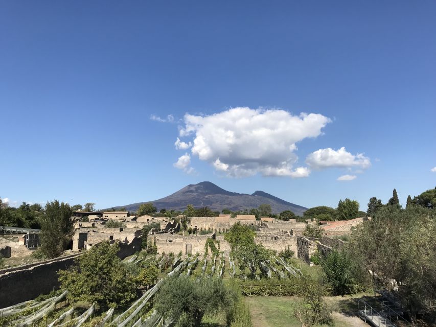 Pompeii & Herculaneum Private Skip-The-Line Tour With Ticket - Tour Duration and Languages