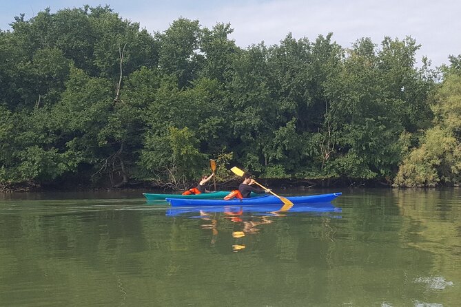 Private Kayak Tour in the Venetian Lagoon - Tour Highlights