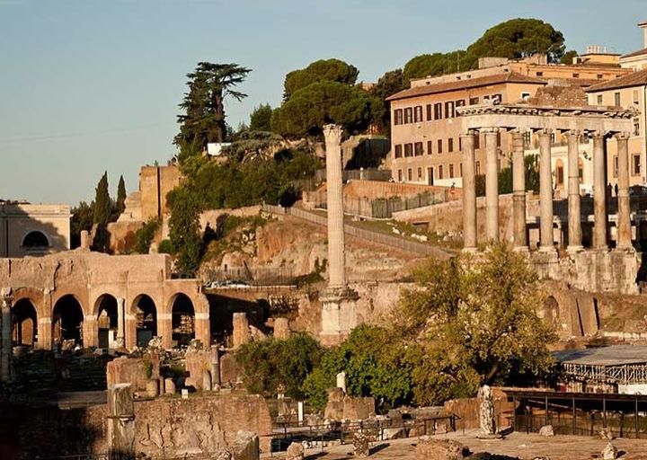 Rome: Colosseum, Roman Forum and Palatine Hill Private Tour