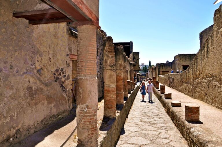 Sorrento: Transfer to Naples With Herculaneum Guided Tour