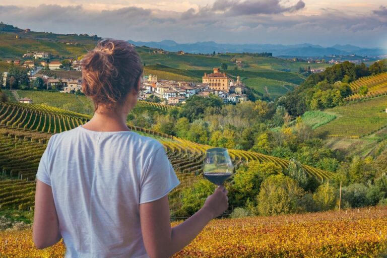 Turin: Langhe Wine Tour With Private Transfers and Lunch