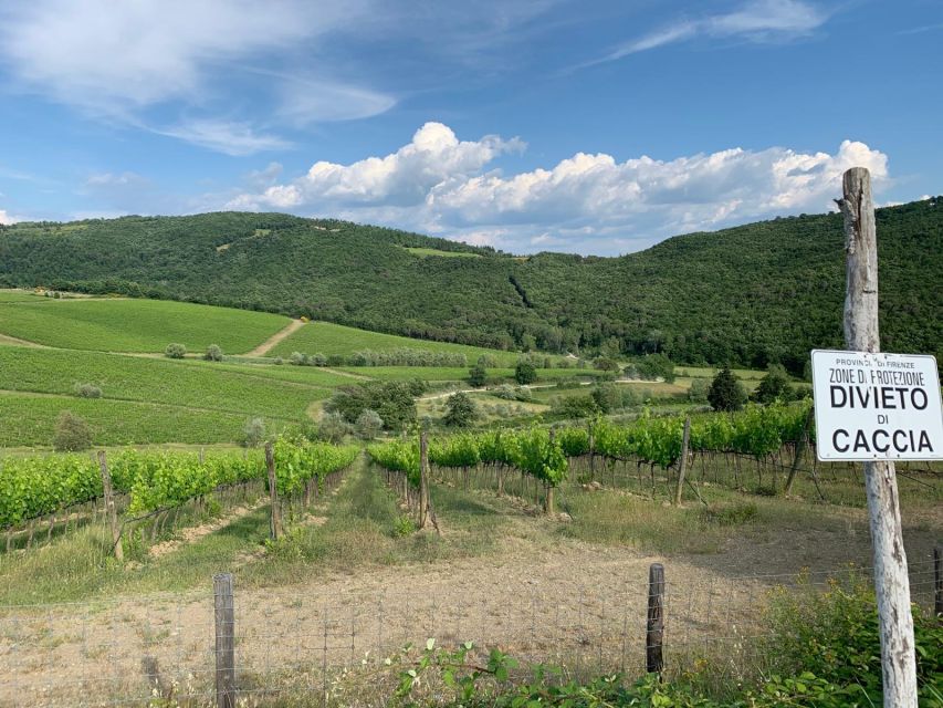 TUSCANY: WINE TASTING IN THE HEART OF CHIANTI CLASSICO - Tour Pricing and Duration