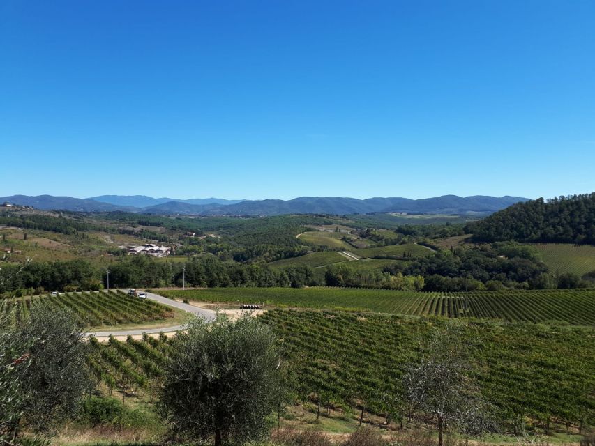 Vintage Fiat 500 Chianti & Tuscany Wine Tour With Driver - Tour Details