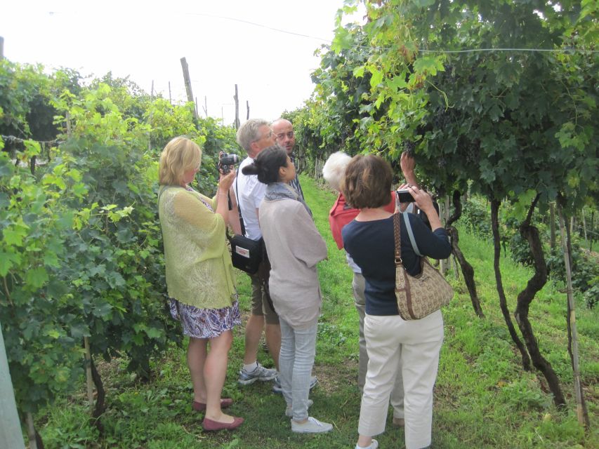 Amarone Wine Tour & Tasting From Venice, Padua or Verona - Wine Tour Itinerary