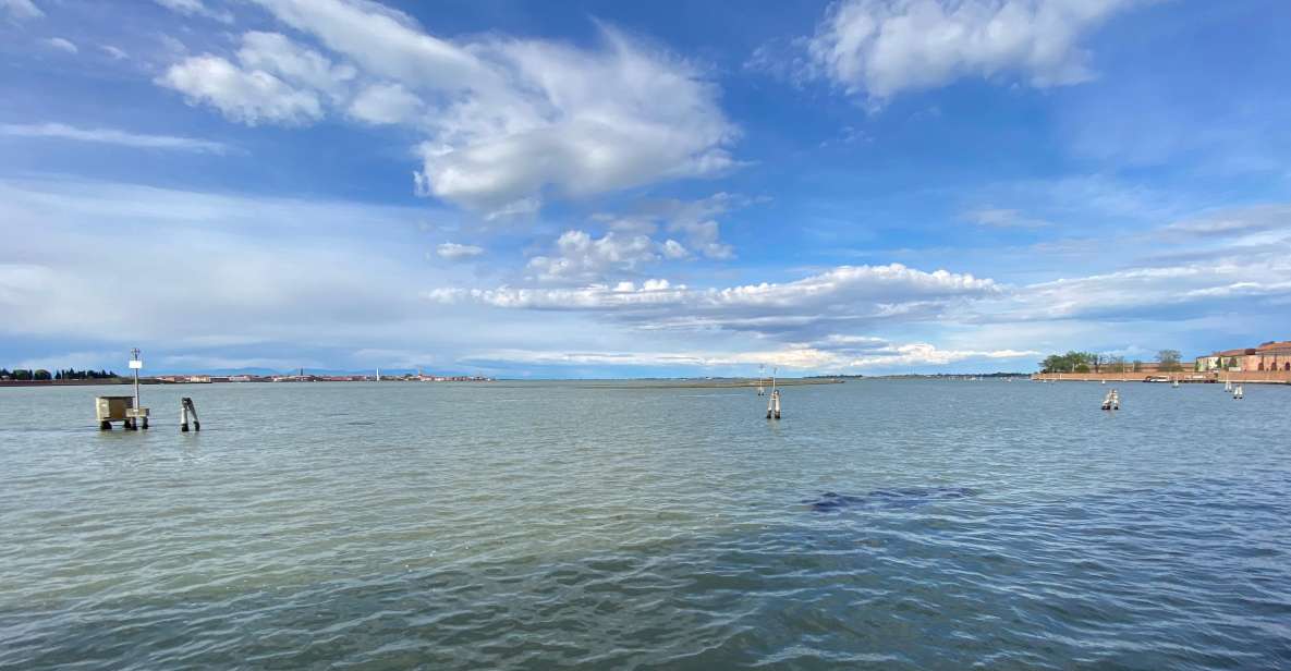 Birdwatching: in Laguna Di Venezia - Best Times for Birdwatching