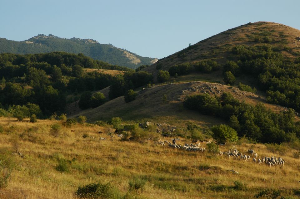 Cesaro: Private Guided Hike to Monte Pelato With Lunch - Host and Experience Details