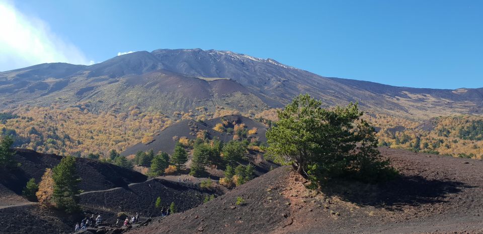 Etna Private Tour - Activity Description