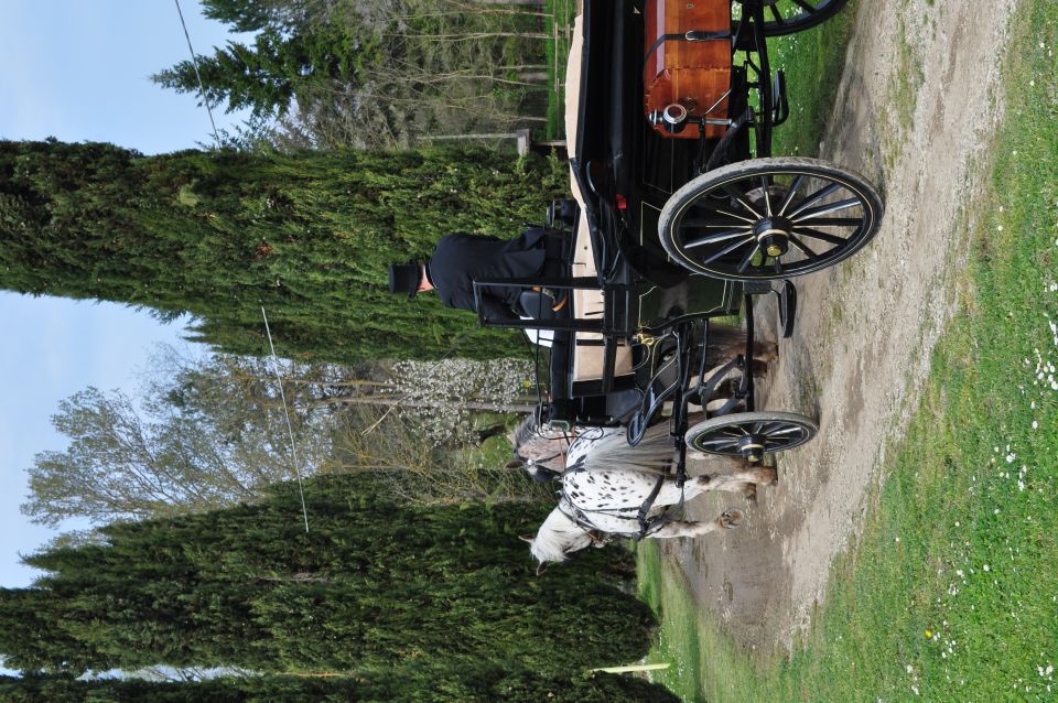 From Florence: Carriage Ride in Chianti Hills With Lunch - Booking Information