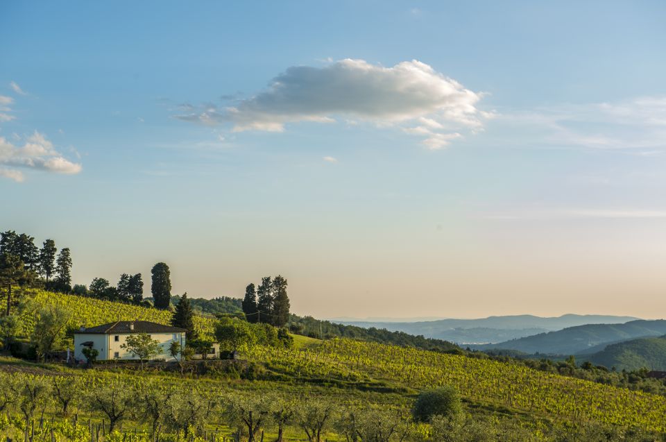 From Florence: Chianti Rufina Private Tour And Food Tasting - Itinerary Highlights