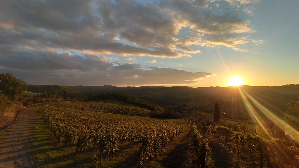 From Florence: Private Wine Tasting Tour in Chianti - Features and Highlights