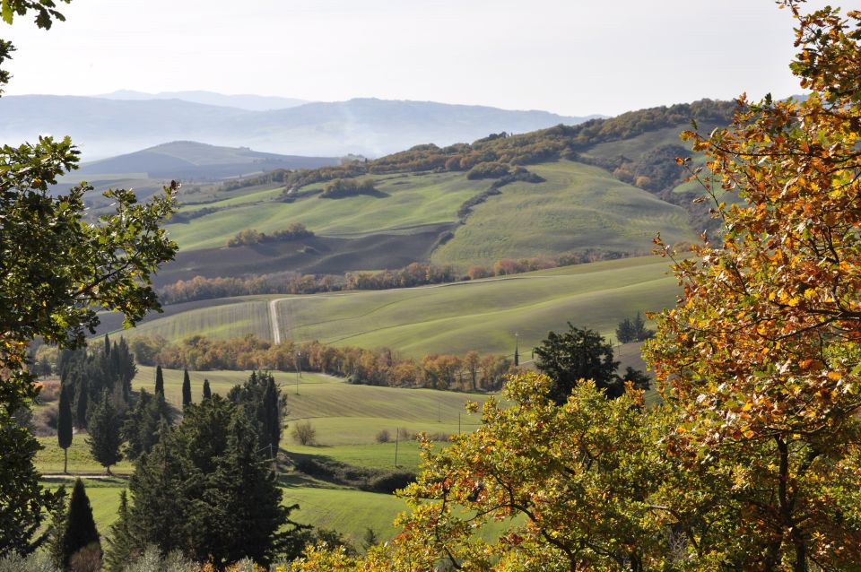 From Florence: Val D'Orcia Full-Day Wine Tasting Tour - Itinerary