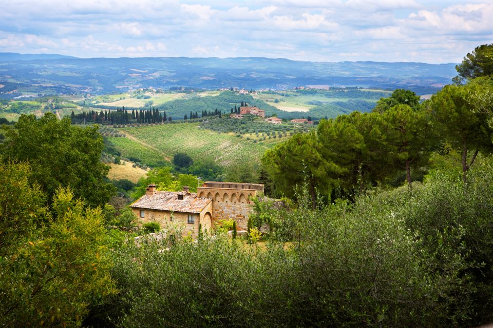 Half-Day Tour of San Gimignano From Florence - Inclusions