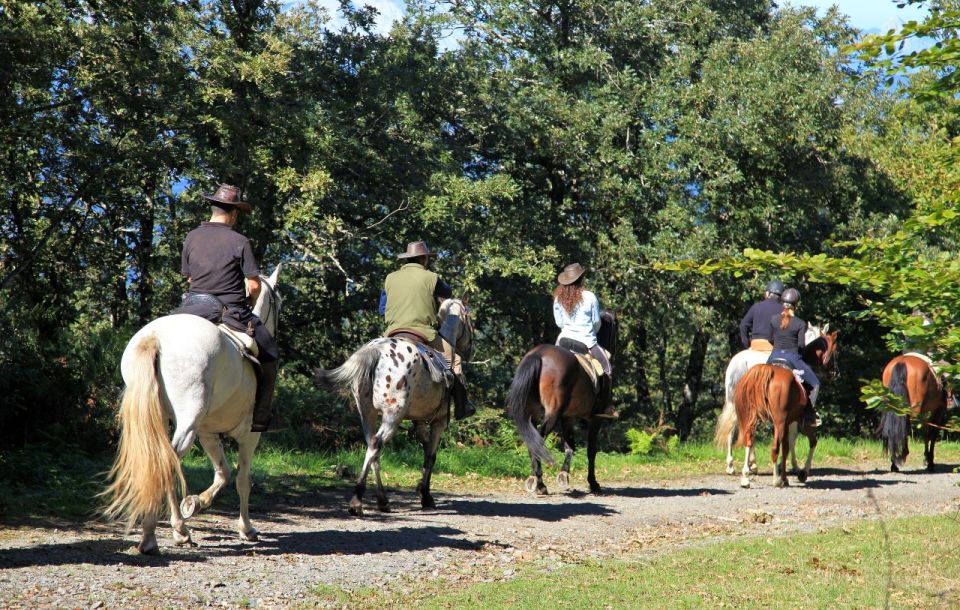 Horse Riding Through the Valleys + Food Tasting - Booking Information