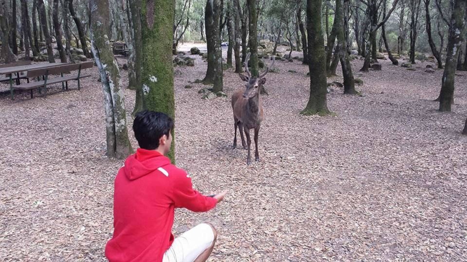 Is Cannoneris Nature Reserve Walking and Jeep Private Tour - Experience Description