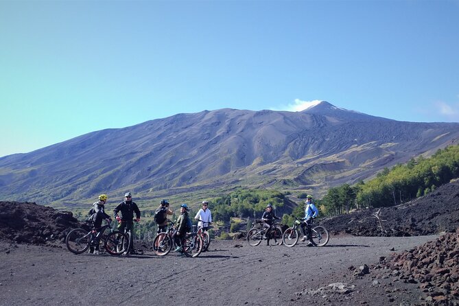 Mount Etna E-Bike Half-Day Tour - Tour Inclusions