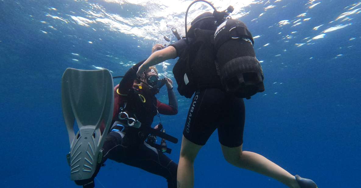 Open Water Diver 1st Level Course in Villasimius - Course Highlights