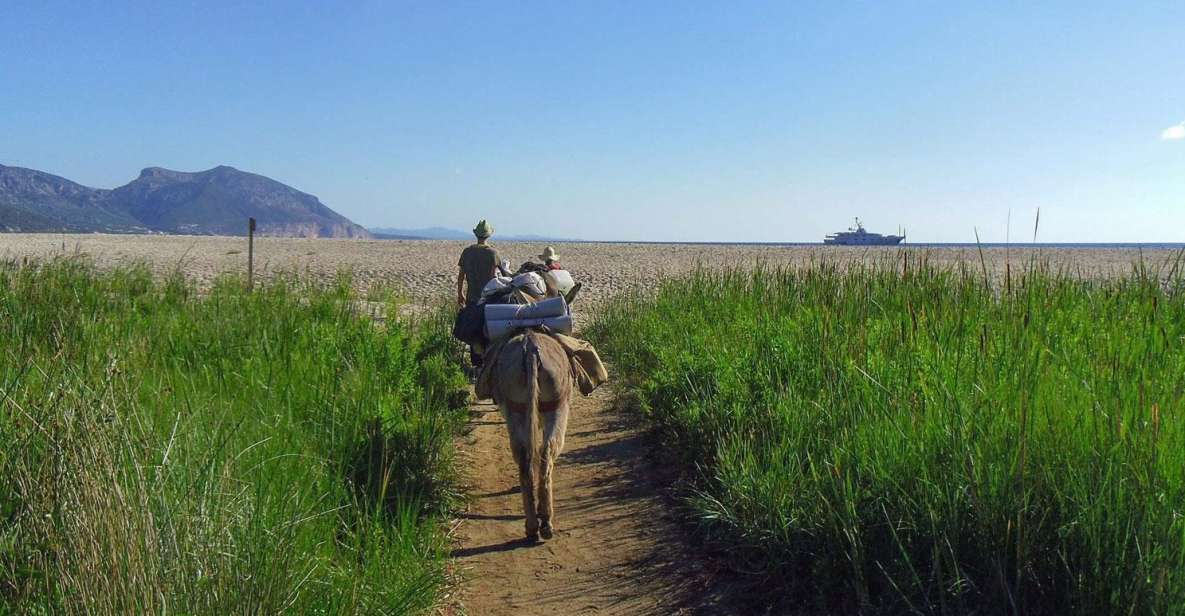 Orosei Gulf: 3 Days Trekking With Donkeys - Itinerary