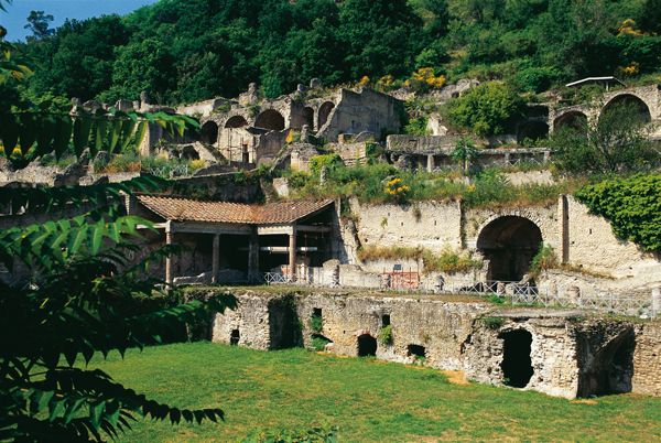 Phlegraean Fields: Cuma Baia and Pozzuoli Private Excursion - Activity Inclusions