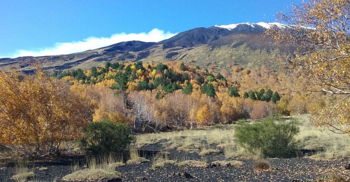 Private Etna Tour From Taormina - Tour Highlights