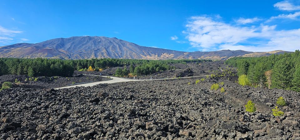 Private Etna Wine Tour - Activity Description