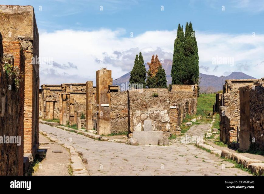 Private Tour Pompeii+Mont. Vesuvius - Tour Highlights