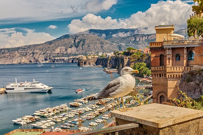 Private Transfer From Naples to Sorrento - Meeting and Pickup