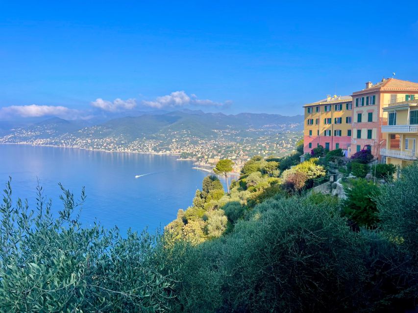 San Fruttuoso Di Camogli, Hike in Portofino Park - Trek Through Ligurian Creuxe to San Rocco