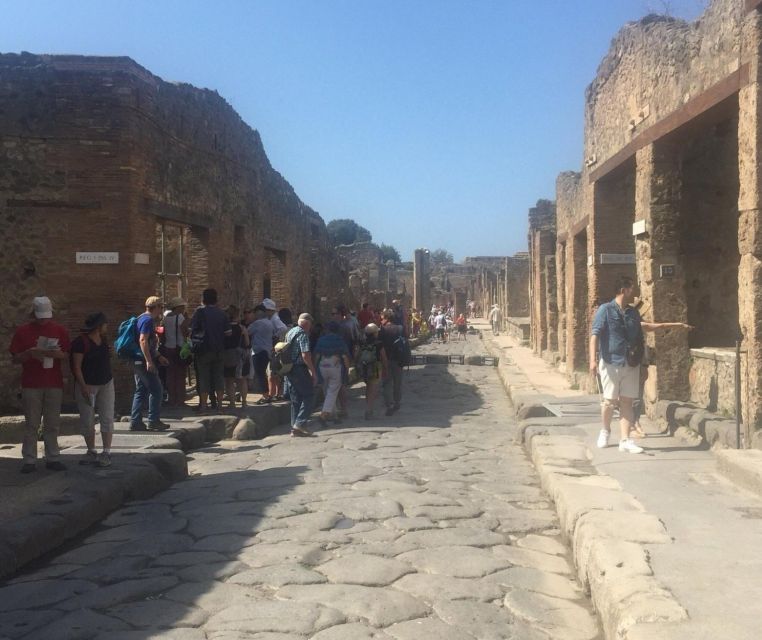 Sorrento: Transfer to or From Sorrento With a Stop at Pompeii Excavations - Activity Highlights