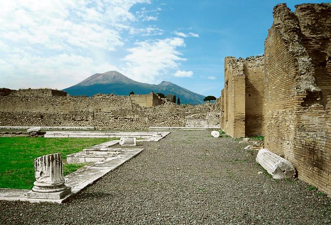 The Ruins of Pompeii: Round-Trip Transfer From Rome - Driver and Pickup Details