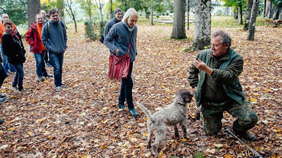 Truffle Hunting In The Hills Of Tuscany - Truffle Hunting Experience