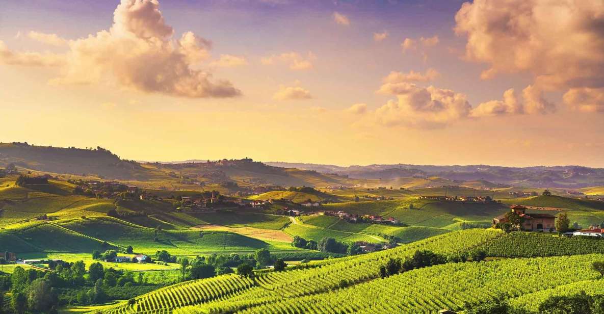 Turin: Langhe Wine Tour With Private Transfers and Lunch - Highlights