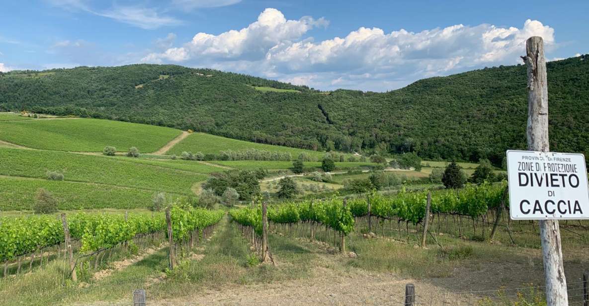 TUSCANY: WINE TASTING IN THE HEART OF CHIANTI CLASSICO - Multilingual Experience Features