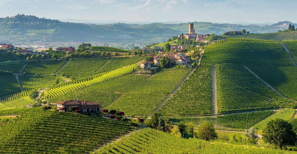 Barolo Winery Private Visit With Gourmet Lunch - Highlights