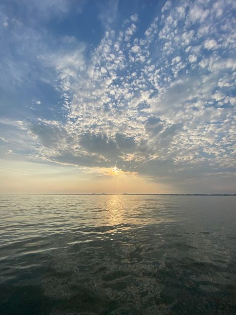 Birdwatching: in Laguna Di Venezia - Equipment Needed for Birdwatching