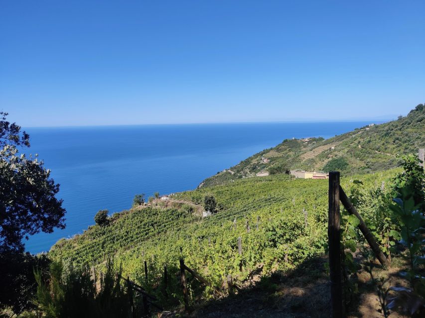 Cinque Terre: Private Trekking Riomaggiore to Monesteroli - Activity Description