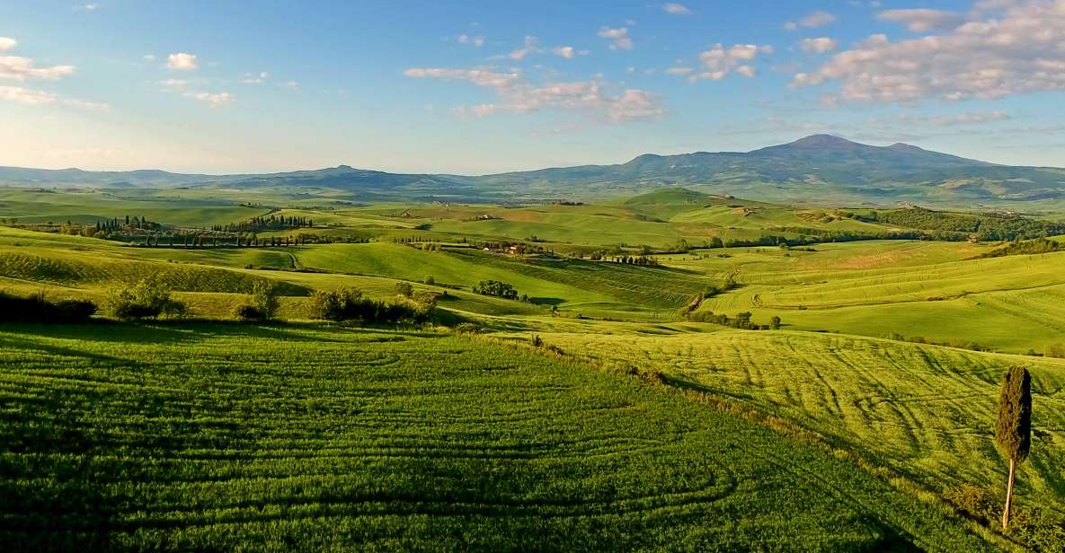 Florence: Chianti, Montalcino & Montepulciano Private Tour - Tour Description