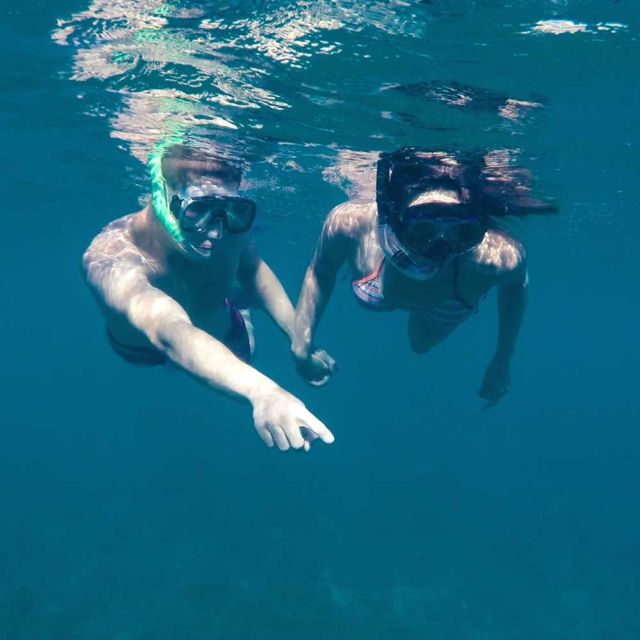 From Cannigione: Private Caprera Snorkeling Trip by Boat - Full Description