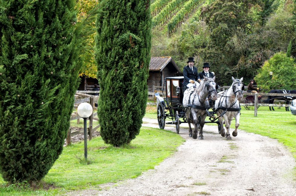 From Florence: Carriage Ride in Chianti Hills With Lunch - Tour Description