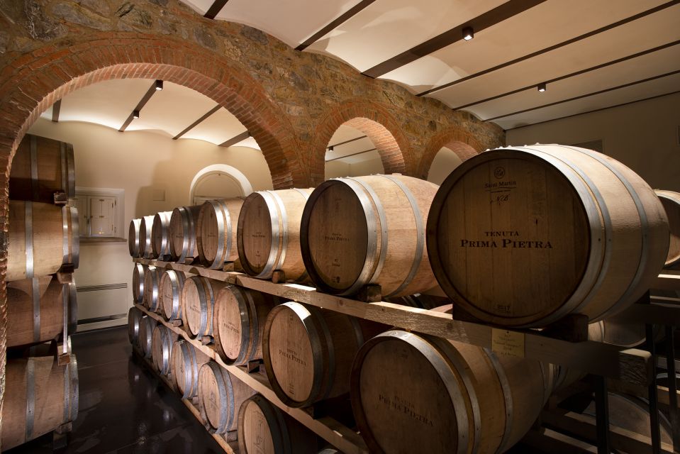 From Florence PRIVATE: Bolgheri Wine Tour With Tasting - Tour Itinerary